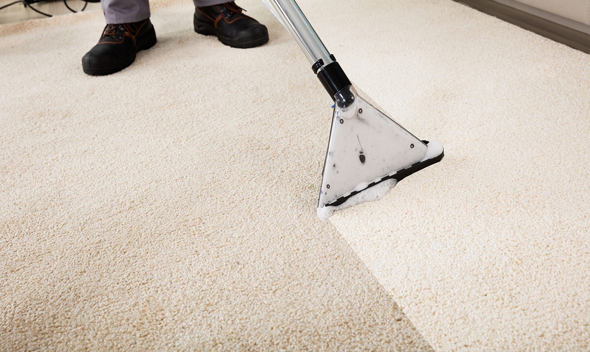 Professional deals rug cleaning